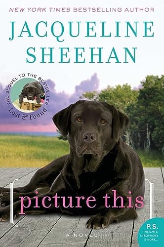 Book cover for PIC THIS by Sheehan, Jacqueline