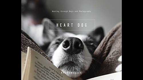 Book cover for Heart Dog: Healing Through Dogs and Photography by unknown author