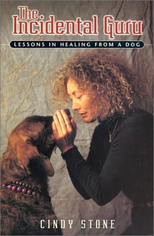 Book cover for The Incidental Guru: Lessons in Healing from a Dog by Stone, Cindy