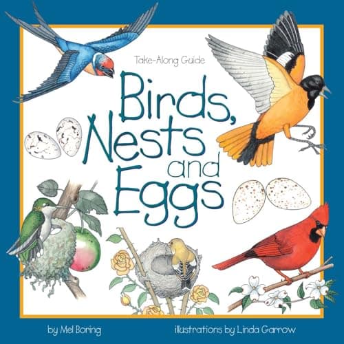 Book cover for Birds, Nests & Eggs (Take Along Guides) by Boring, Mel