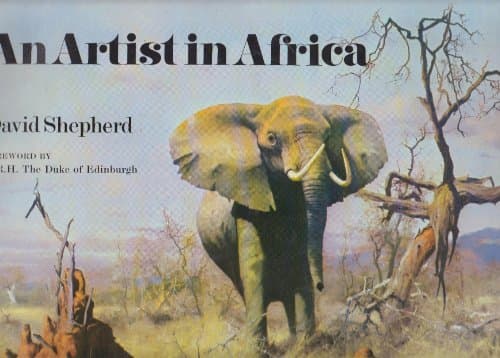 Book cover for An artist in Africa; by shepherd, david