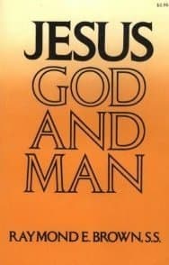 Book cover for Jesus: God and Man : Modern Biblical Reflections by Raymond E. Brown