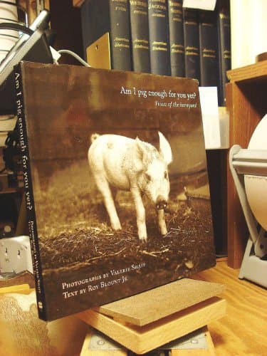 Book cover for Am I Pig Enough for You Yet?: Voices of the Barnyard by Valerie Shaff