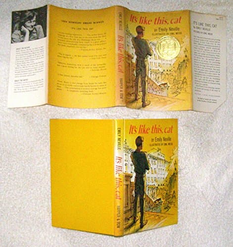 Book cover for It's Like This, Cat by Neville, Emily Cheney