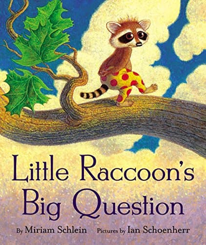 Book cover for Little Raccoon's Big Question by Schlein, Miriam