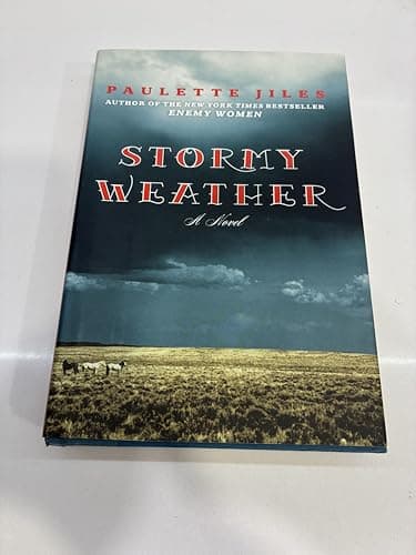 Book cover for Stormy Weather: A Novel by Jiles, Paulette