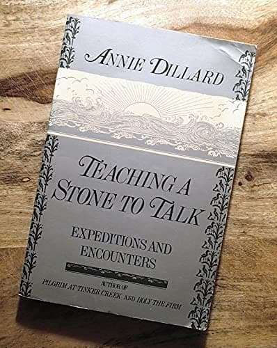 Book cover for Teaching a Stone to Talk: Expeditions and Encounters by Dillard, Annie