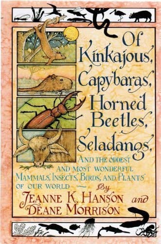Book cover for Of Kinkajous, Capybaras, Horned Beetles, Seladangs: And the Oddest and Most Wonderful Mammals, Insects, Birds, and Plants of Our World by Hanson, Jeanne K.