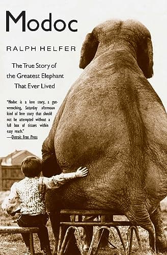 Book cover for Modoc: The True Story of the Greatest Elephant That Ever Lived by Helfer, Ralph