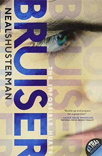 Book cover for Bruiser by Shusterman, Neal