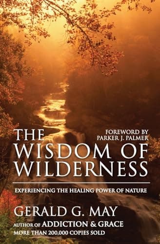 Book cover for The Wisdom of Wilderness: Experiencing the Healing Power of Nature by May, Gerald G.