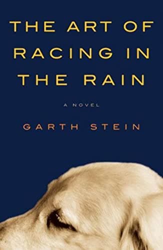 Book cover for The Art of Racing in the Rain by Stein, Garth