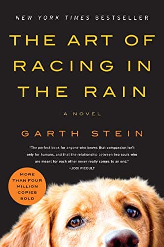Book cover for The Art of Racing in the Rain: A Novel by Stein, Garth