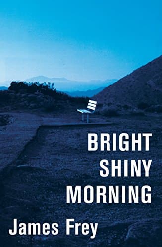 Book cover for Bright Shiny Morning by Frey, James