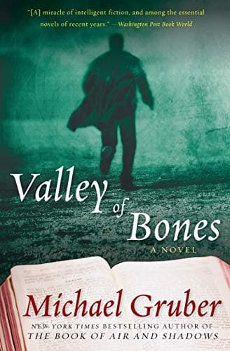 Book cover for Valley of Bones: A Novel (Jimmy Paz, 2) by Gruber, Michael