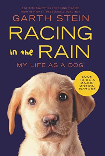 Book cover for Racing in the Rain: My Life as a Dog by Stein, Garth