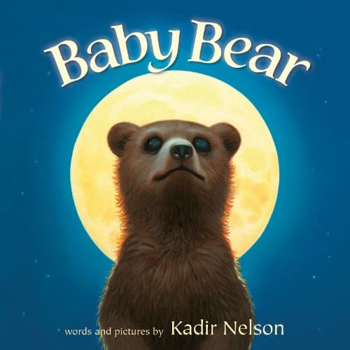 Book cover for Baby Bear: An Acclaimed Picture Book About a Lost Bear's Journey to Courage and Home by Nelson, Kadir
