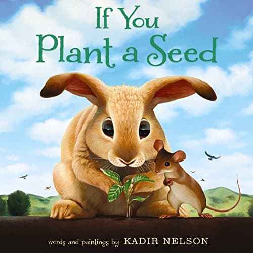 Book cover for If You Plant a Seed: An Easter And Springtime Book For Kids by Nelson, Kadir