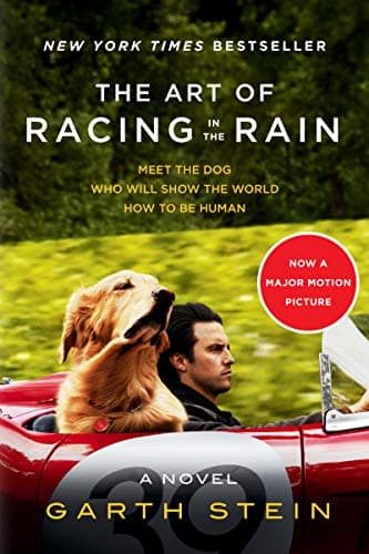 Book cover for The Art of Racing in the Rain Tie-in: A Novel by Stein, Garth