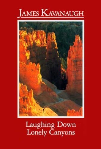 Book cover for Laughing Down Lonely Canyons by Kavanaugh, James