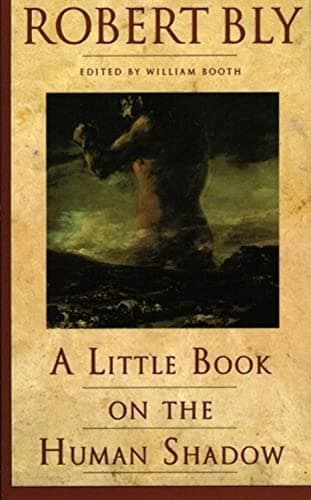 Book cover for A Little Book on the Human Shadow: A Poetic Journey into the Dark Side of the Human Personality, Shadow Work, and the Importance of Confronting Our Hidden Self by Robert Bly