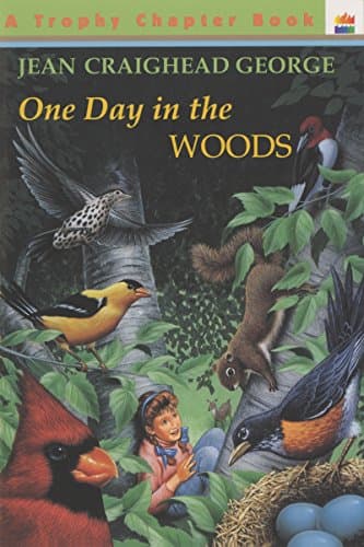 Book cover for One Day in the Woods by George, Jean Craighead