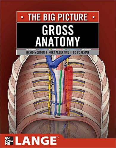 Gross Anatomy: The Big Picture (LANGE The Big Picture)