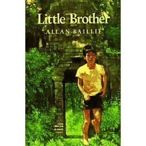 Book cover for Little Brother by Baillie, Allan