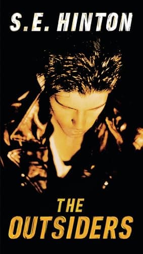 Book cover for The Outsiders by Hinton, S. E.