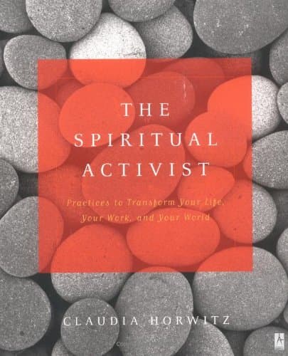 Book cover for The Spiritual Activist: Practices to Transform Your Life, Your Work, and Your World (Compass) by Horwitz, Claudia