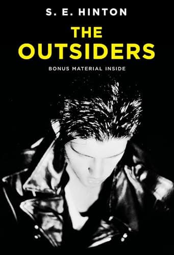 Book cover for The Outsiders by S. E. Hinton