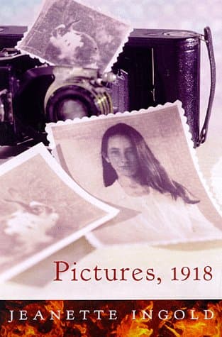 Book cover for Pictures, 1918 by Ingold, Jeanette
