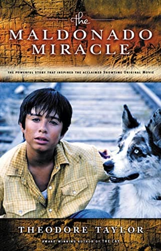 Book cover for The Maldonado Miracle by Taylor, Theodore