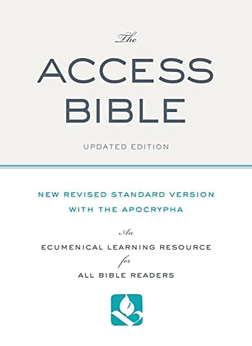 Book cover for The Access Bible by O'Day, Gail R.