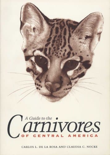 Book cover for A Guide to the Carnivores of Central America: Natural History, Ecology, and Conservation by de la Rosa, Carlos L.
