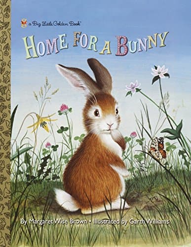 Book cover for Home for a Bunny (Big Little Golden Book) by Brown, Margaret Wise