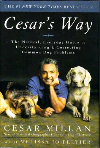 Book cover for Cesar's Way: The Natural, Everyday Guide to Understanding and Correcting Common Dog Problems by Cesar Millan