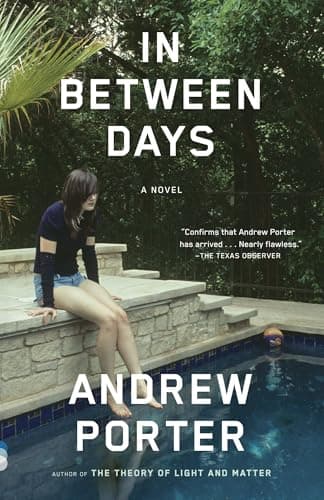 Book cover for In Between Days (Vintage Contemporaries) by Porter, Andrew