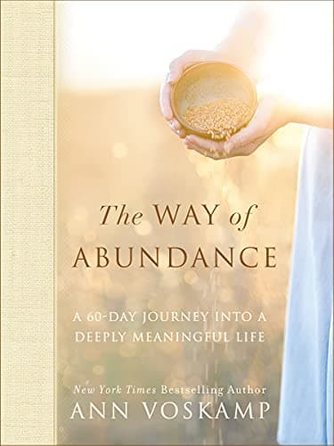 Book cover for The Way of Abundance: A 60-Day Journey into a Deeply Meaningful Life by Voskamp, Ann