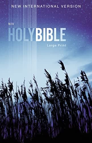 Book cover for NIV, Outreach Bible, Large Print, Paperback by Zondervan