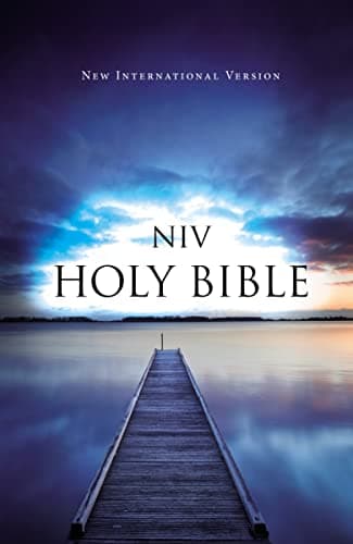 Book cover for NIV, Value Outreach Bible, Paperback by Zondervan