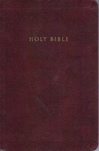 Book cover for NIV Reference Bible, Personal Size (Burgundy Leather-Look) by Zondervan