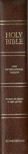 The Holy Bible New International Version Containing the Old and New Testaments (vii)