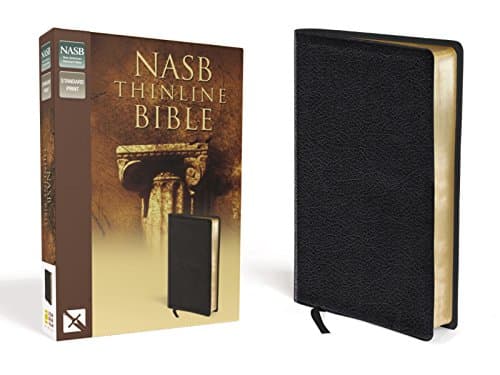 Book cover for NASB Thinline Bible by Zondervan