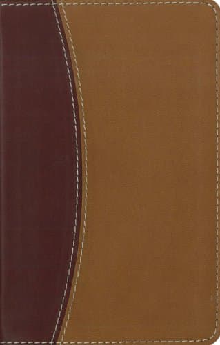 Book cover for NIV Compact Thinline Reference Bible, Italian Duo-tone, Burgundy / Tan by Zondervan