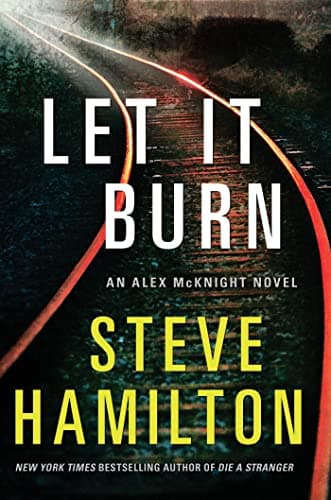 Book cover for Let It Burn (Alex McKnight Novels) by Hamilton, Steve