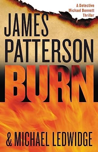 Burn (A Michael Bennett Thriller, 7)