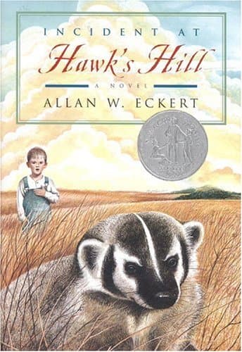 Book cover for Incident at Hawk's Hill by Allan W. ECKERT