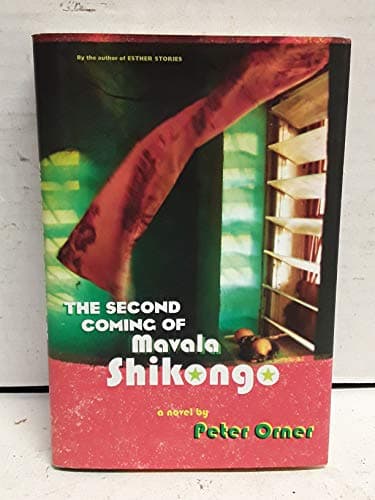 The Second Coming of Mavala Shikongo: A Novel