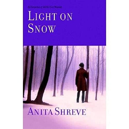Book cover for Light on Snow by Shreve, Anita